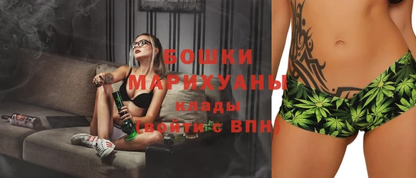 бошки Алексин