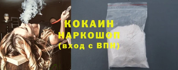 стаф Алзамай