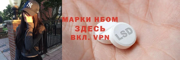 стаф Алзамай