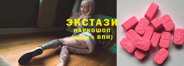 стаф Алзамай