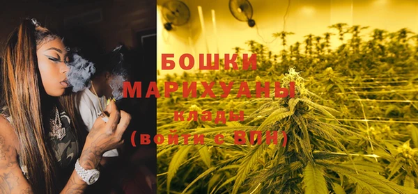 бошки Алексин