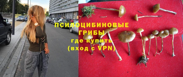 стаф Алексеевка