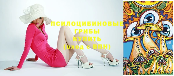 бошки Алексин